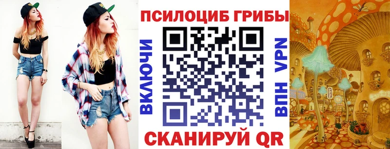 Галлюциногенные грибы прущие грибы  продажа наркотиков  Сураж 